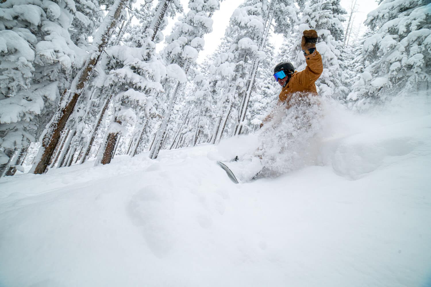 Arizona Snowbowl Ski Resort - Where Arizona Skis