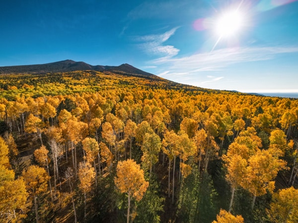 Fall Colors at snowbowl