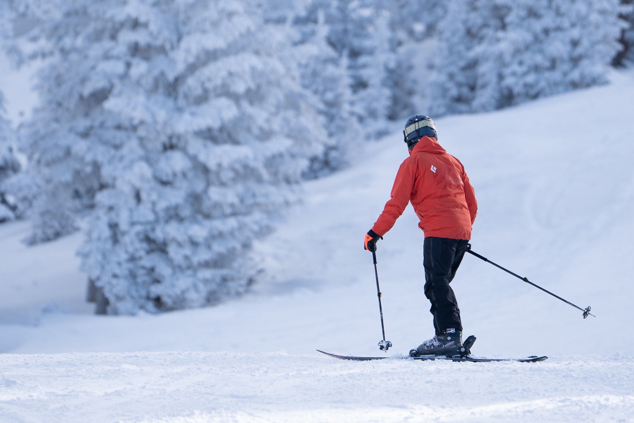 Skier in red looking off in the distance.