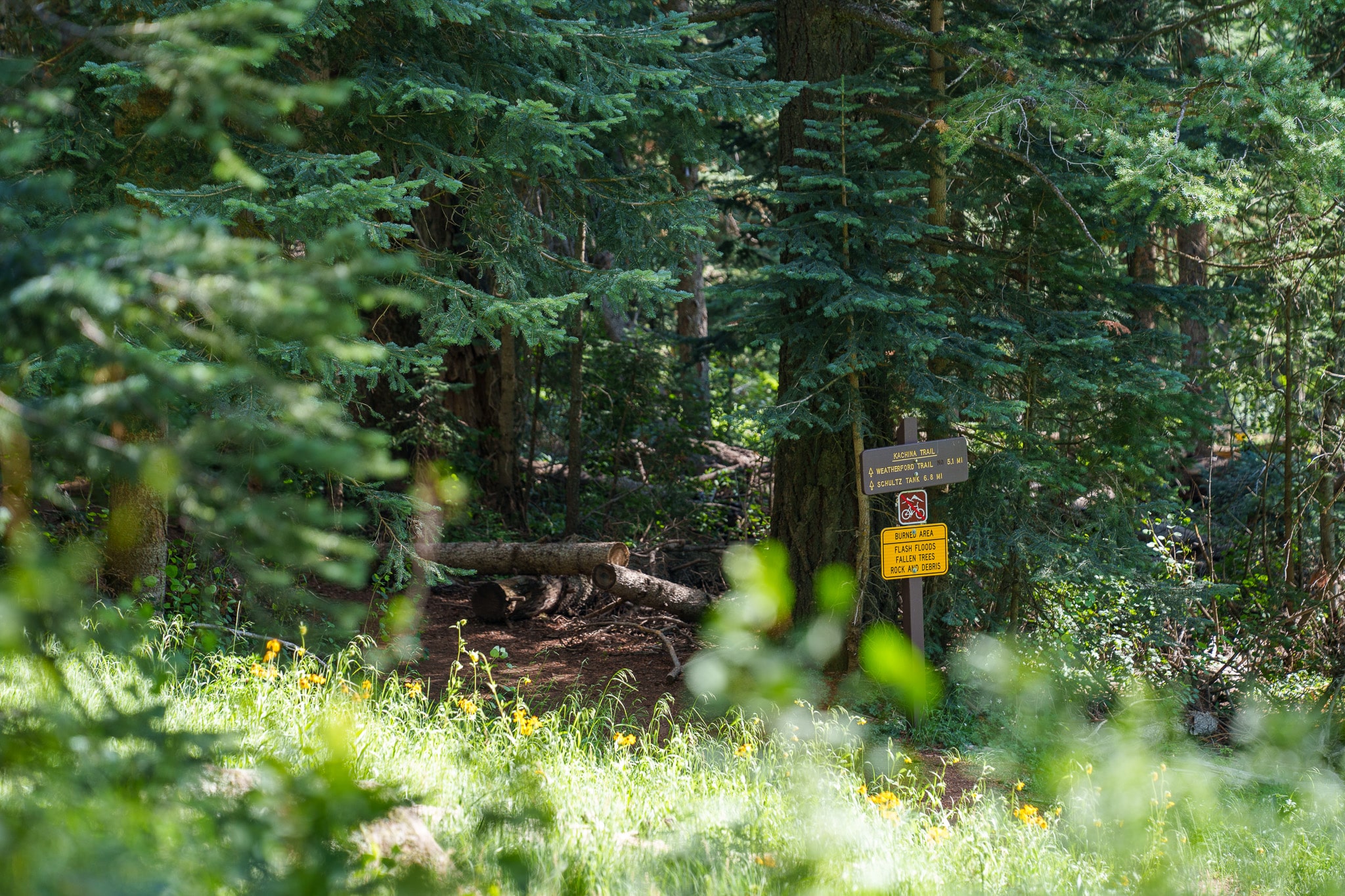 Kachina Trail