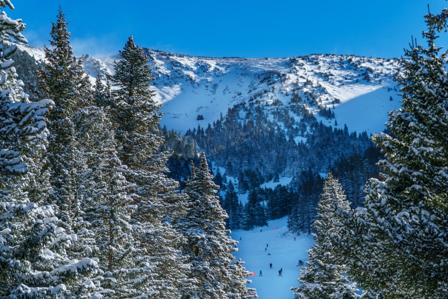 February landscape at Snowbowl